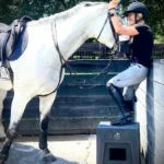 Tamarian Farms Equestrian Center